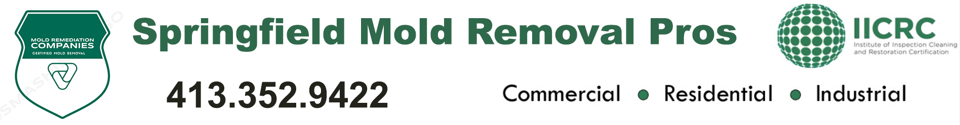 Springfield Mold Removal Pros